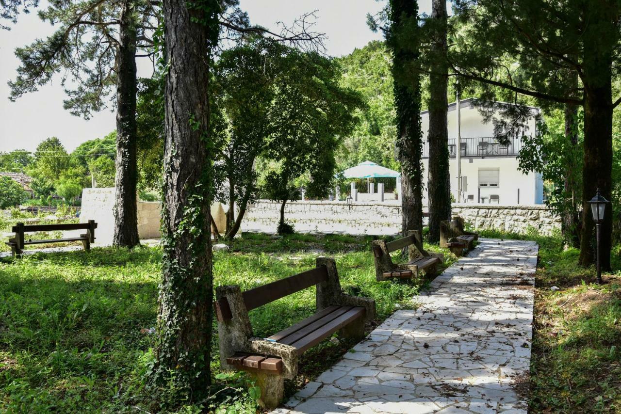 Apartments Nino Skadar Lake Вирпазар Экстерьер фото